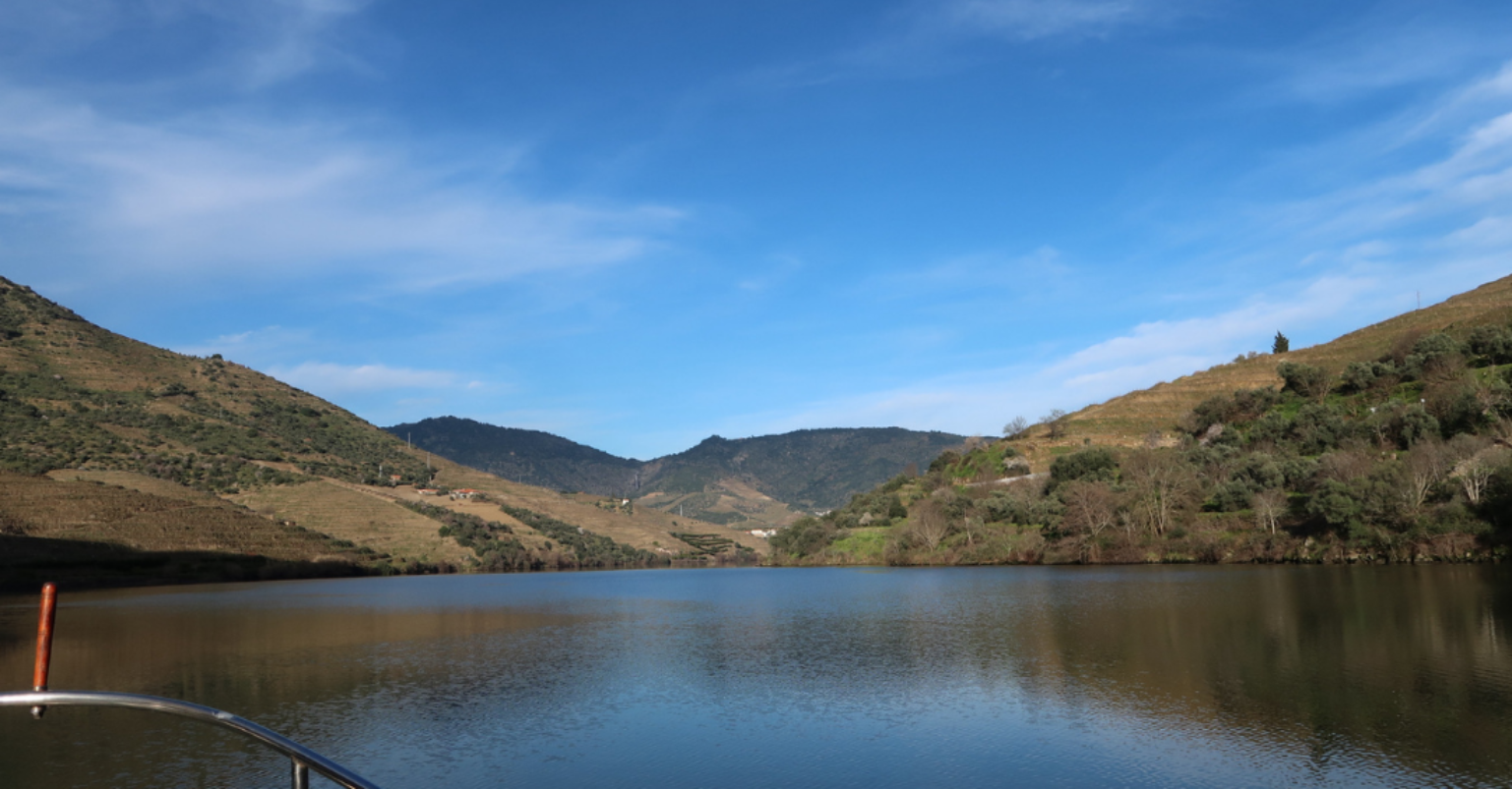 Douro Valley Experience